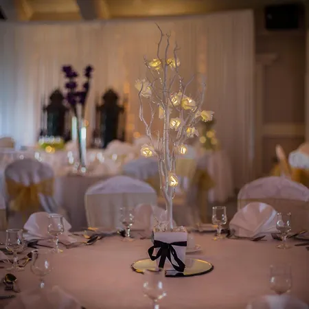 酒店 Treacys Oakwood Hotel,