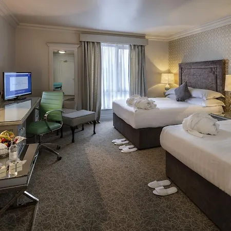 Treacys Oakwood Hotel, شانون