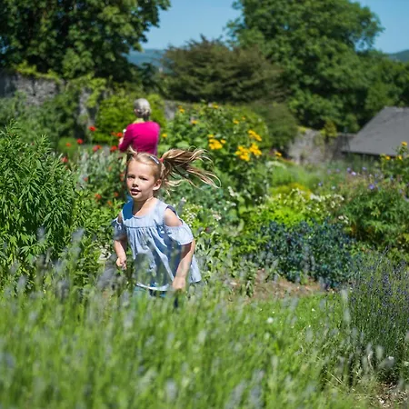 Treacys Oakwood Hotel, 酒店 香侬