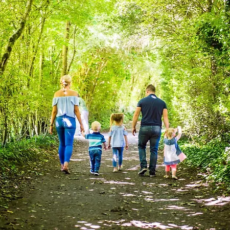 Treacys Oakwood Hotel, Szálloda