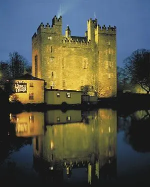 Treacys Oakwood Hotel, Hotel 4*