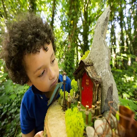 Treacys Oakwood Hotel, 4*