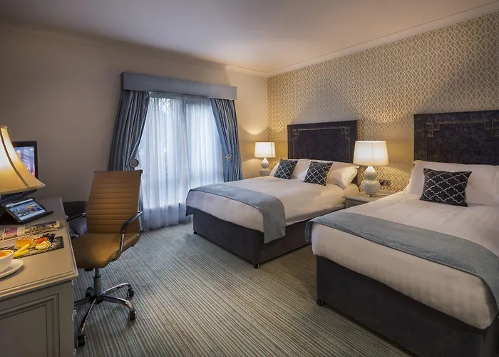 Treacys Oakwood Hotel, 호텔