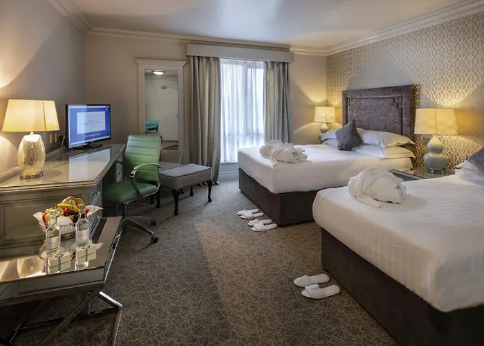 Treacys Oakwood Hotel, 섀넌