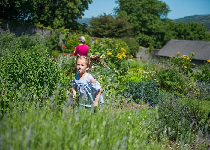 Treacys Oakwood Hotel, Szálloda Shannon