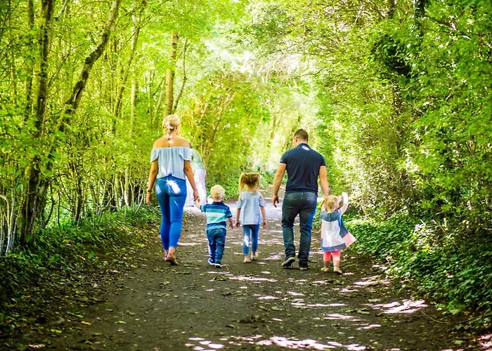 Treacys Oakwood Hotel, 호텔