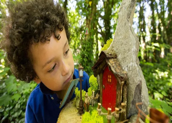 Treacys Oakwood Hotel, 4*